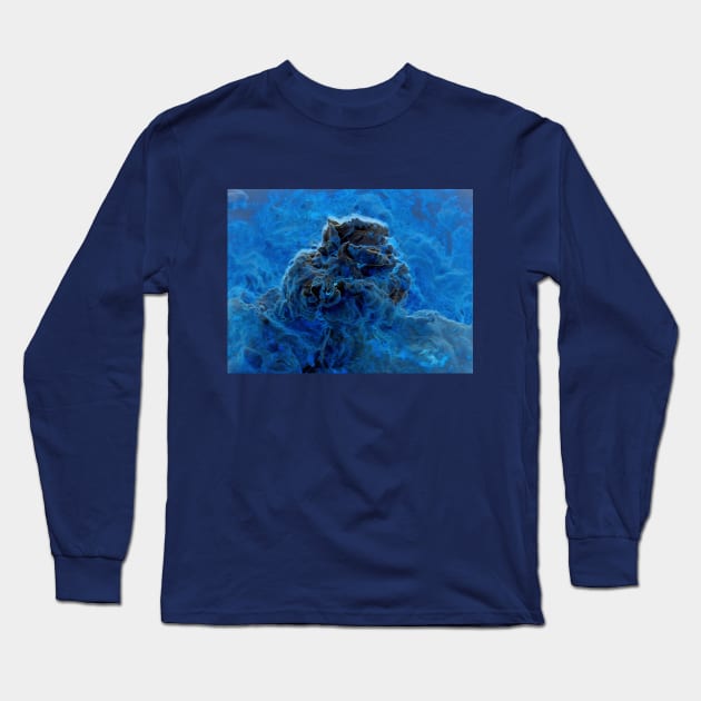 Tempest on a Small Islet Long Sleeve T-Shirt by mavicfe